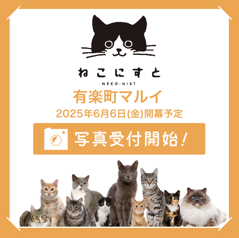 ねこにすと89 有楽町マルイ - ねこにすと